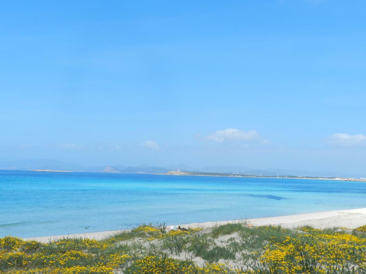 Apartament Casa Marcos Platja de Migjorn Zewnętrze zdjęcie
